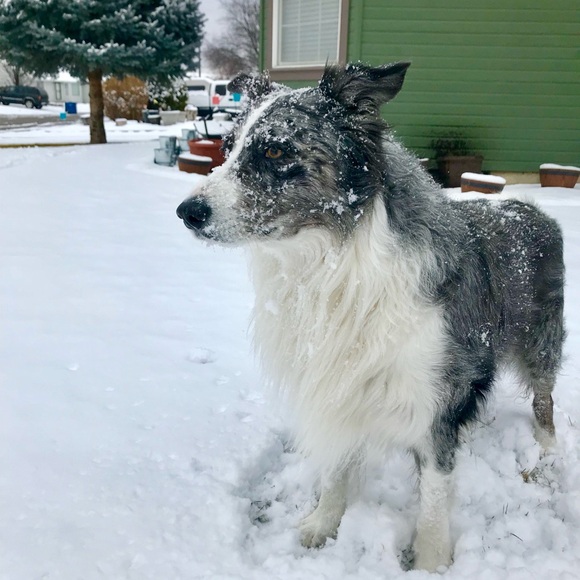 🌟Meet your Posh Ambassador, Diane - Picture 14 of 15